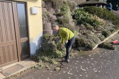 410250F1-AEC0-4796-9B95-1C8F32B31775-scaled